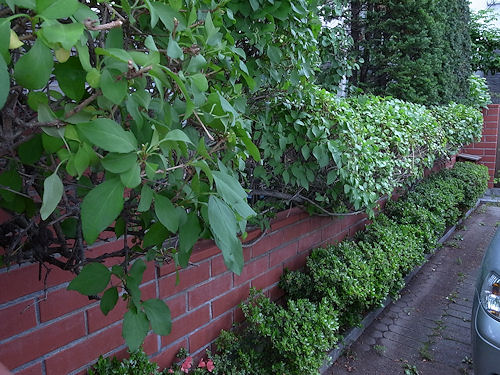 0627-7.jpg