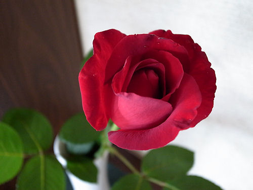 0628-1.jpg