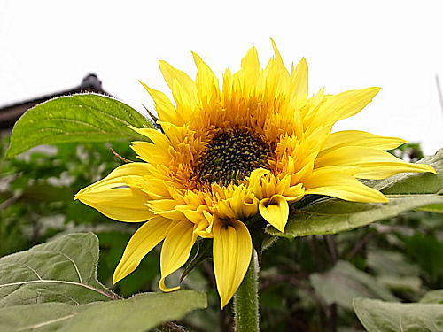 0708-2.jpg