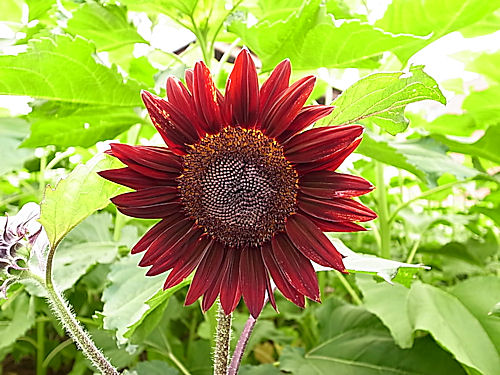 0708-3.jpg