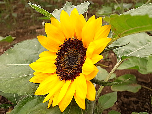 0708-4.jpg