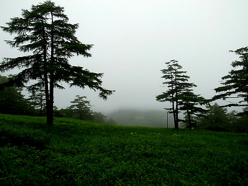 0714-3.jpg