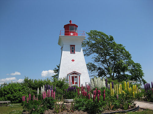 0818-1.jpg