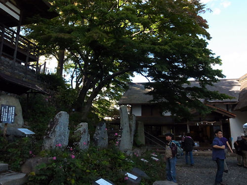 1013-88.jpg