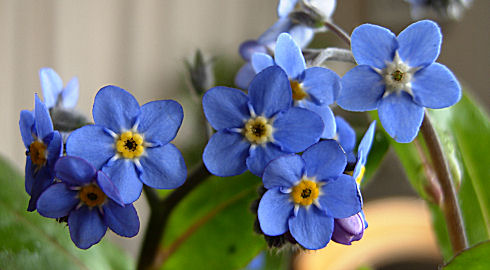 070325-4.jpg