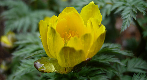 070325-5.jpg