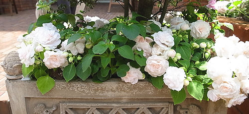 0530-18.jpg