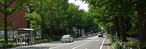 0601-13.jpg