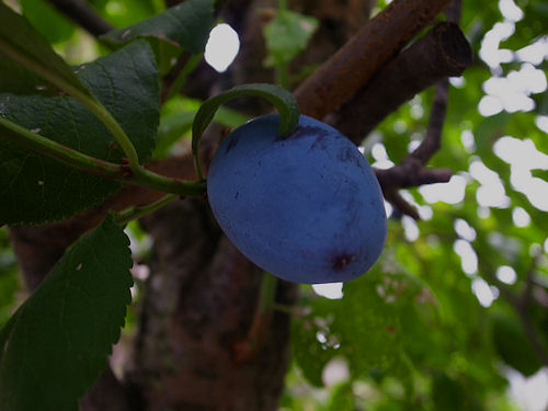 0917-1.jpg