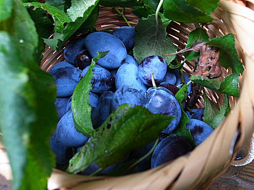 0917-2.jpg