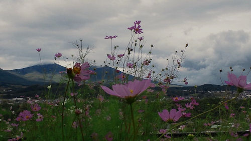 0920-6.jpg