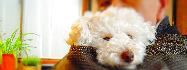 0318-4.jpg