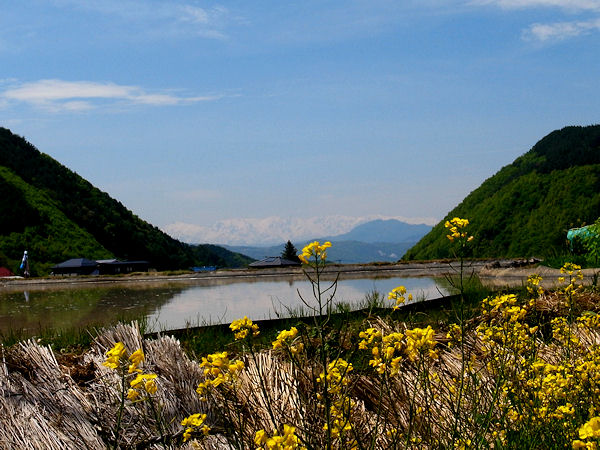 0514-8.jpg
