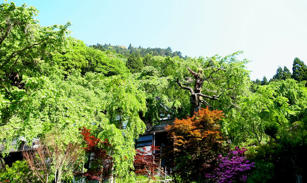 0523-9.jpg