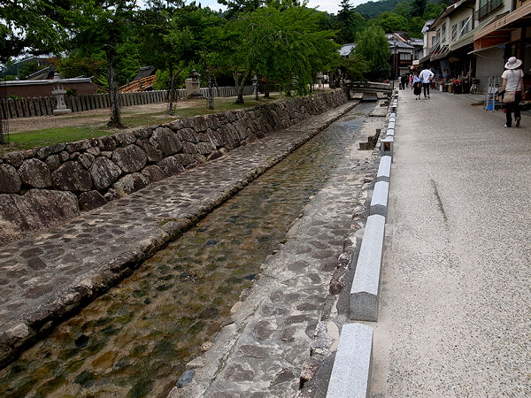 0626-3.jpg