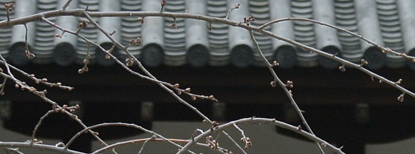 2013.03.27-1.jpg
