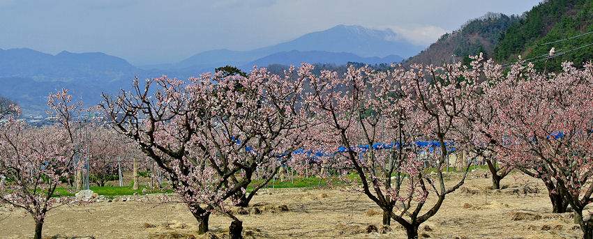 2013.04.10-1.jpg
