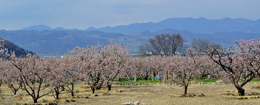 2013.04.10-2.jpg