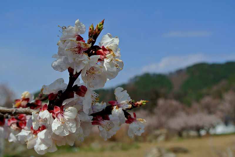 2013.04.11-1.jpg