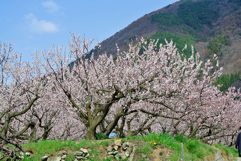 2013.04.11-2.jpg