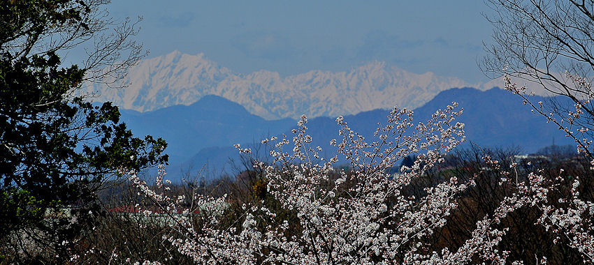 2013.04.15-0.jpg