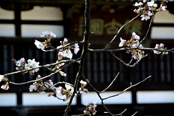 2013.04.15-1.jpg