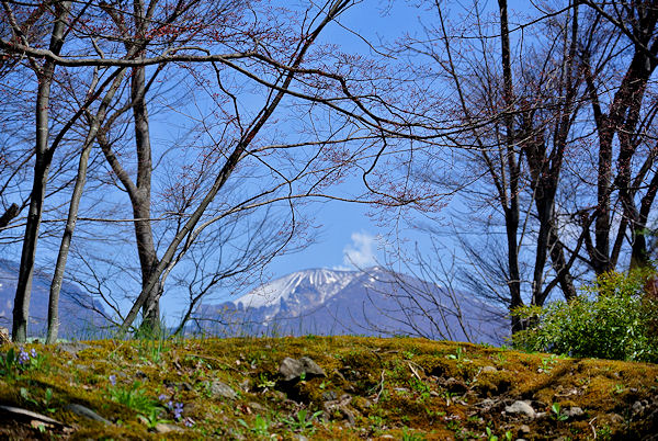 2013.04.15-3.jpg