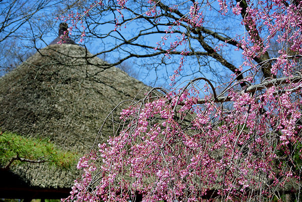 2013.04.15-4.jpg