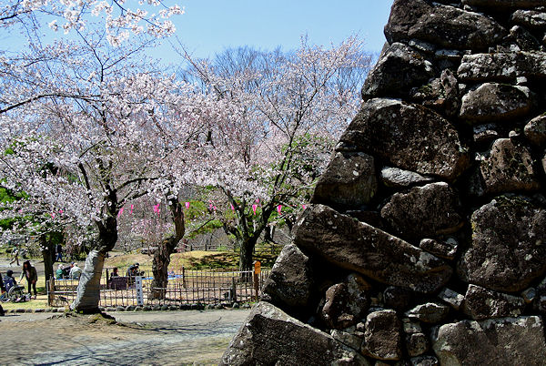 2013.04.15-6.jpg