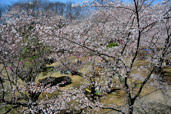 2013.04.15-7.jpg