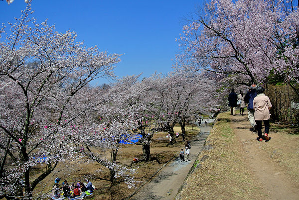 2013.04.15-8.jpg