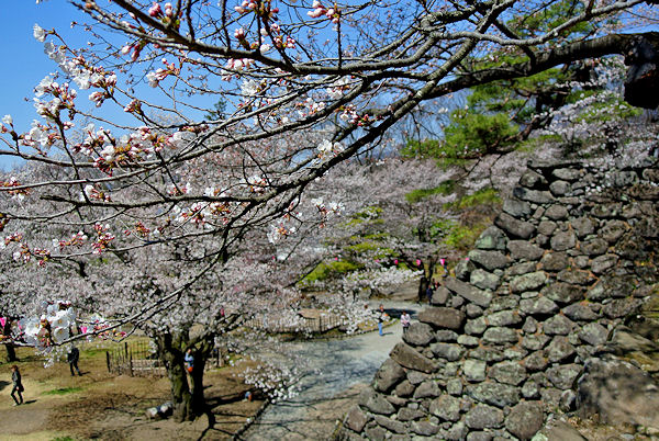 2013.04.15-9.jpg