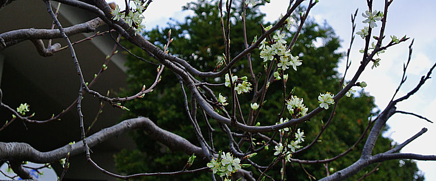 2013.04.26-2.jpg
