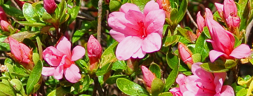 2013.04.26-3.jpg