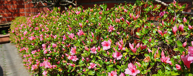 2013.04.26-4.jpg