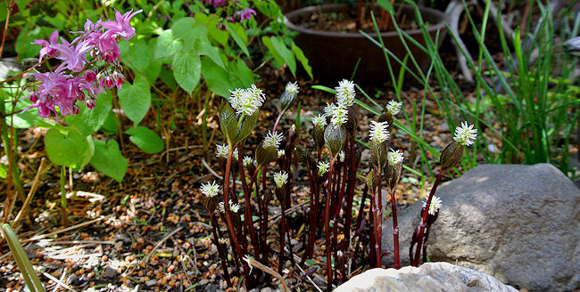 2013.04.26-6.jpg