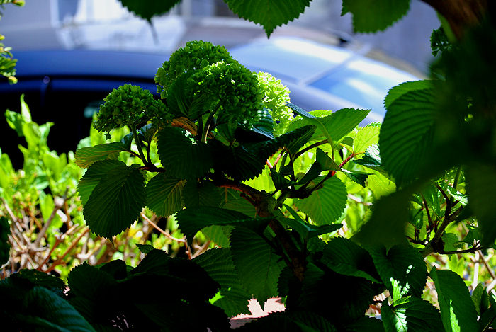 2013.05.01-7.jpg