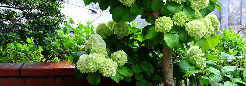 2013.05.11-2.jpg
