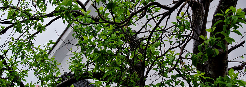 2013.05.11-4.jpg