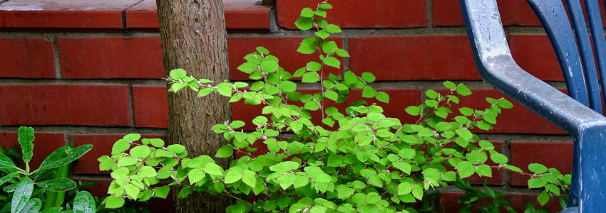2013.05.11-6.jpg