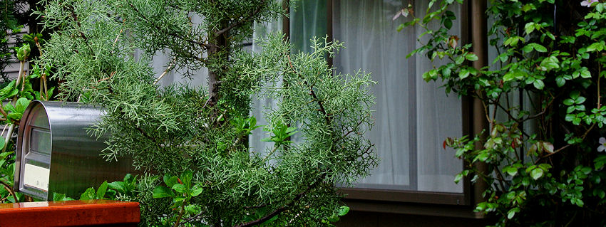 2013.05.11-10.jpg