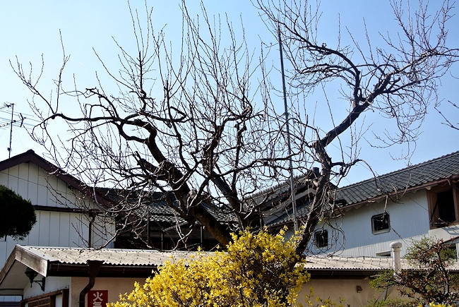2014.04.14-2.jpg