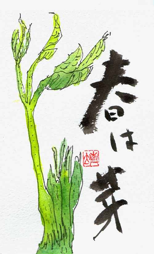2014.04.21-5.jpg