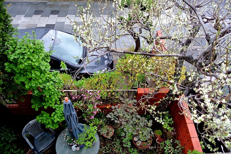 2014.04.25-5.jpg