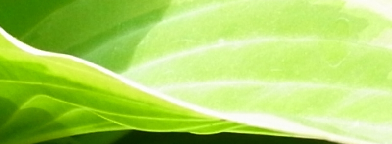 2014.05.13-4.jpg