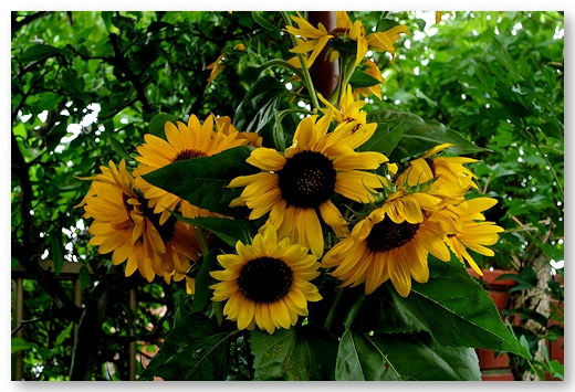 2014.08.19-1.jpg