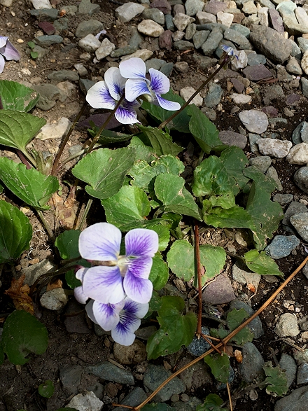 2016.04.16-1.jpg