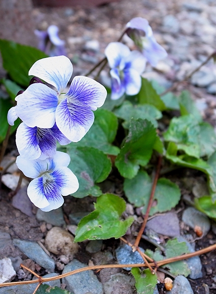 2016.04.16-5.jpg