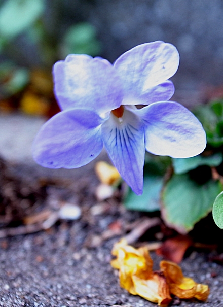 2016.04.16-7.jpg