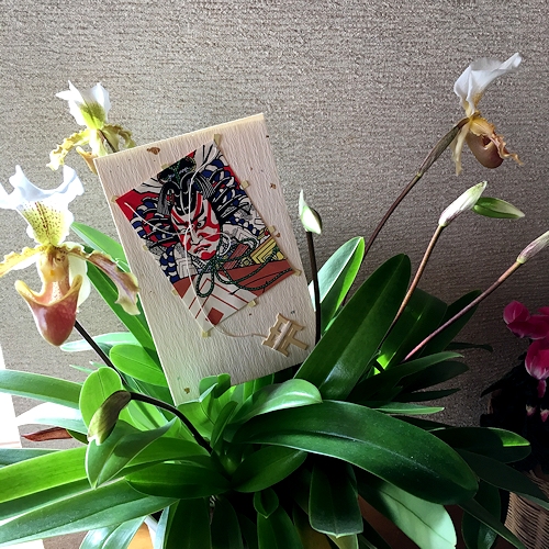2017.01.01-3.jpg